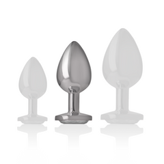 INTENSE - PLUG ANALE IN METALLO ALLUMINIO CON VETRO ARGENTO TAGLIA M